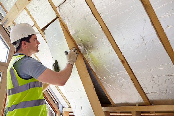 Best Insulation Maintenance and Repair in Overland Park, KS