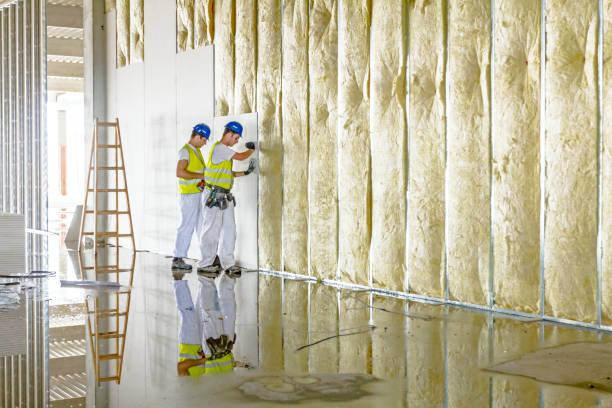  Overland Park, KS Insulation Contractor Pros